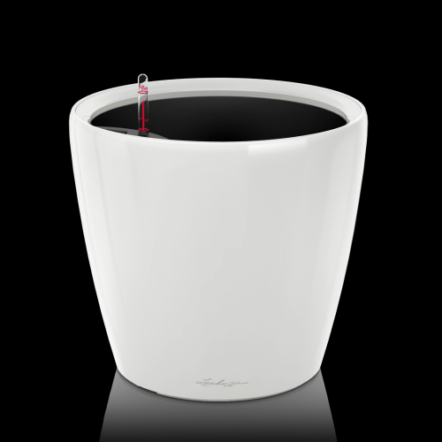 Classico Premium 21 White (Белый)