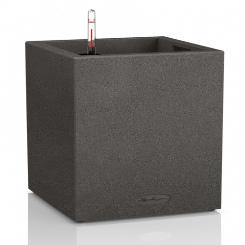 (M) Canto Wurfel Color 30 Black (черный) низкий
