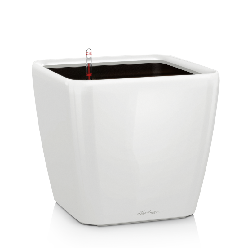 Quadro Premium 35 Белый