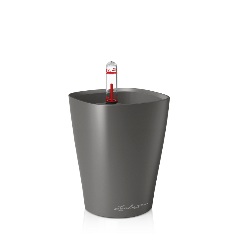 Mini Deltini charcoal