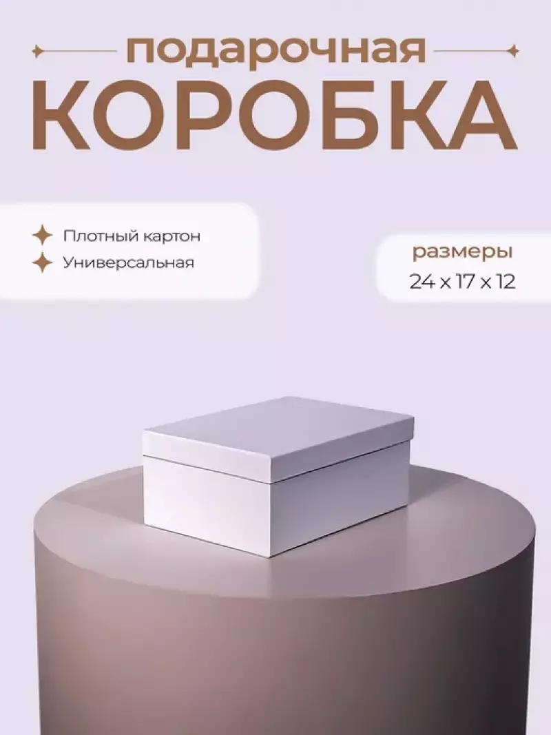 Gift Box 24х17х12 50-23