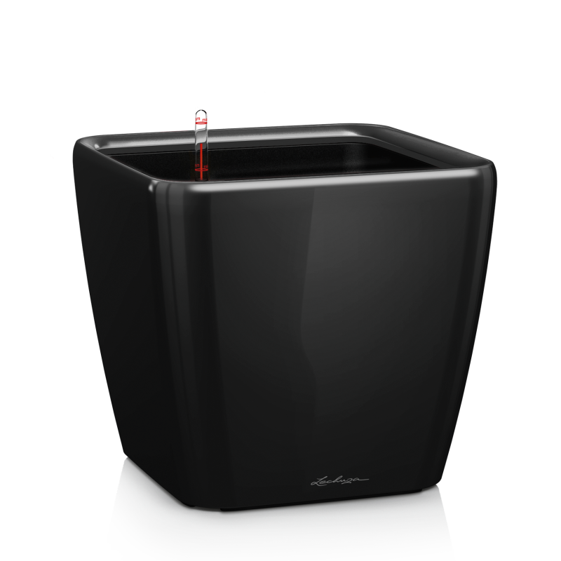Quadro Premium 21 Черный