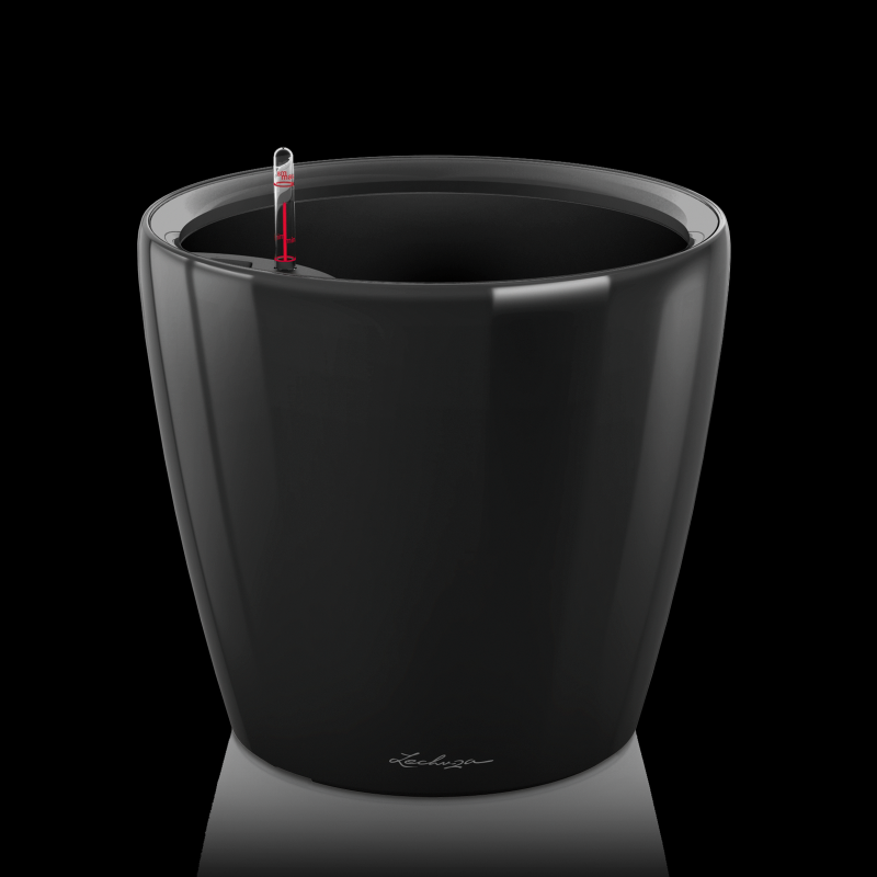 Classico Premium 50 Черный