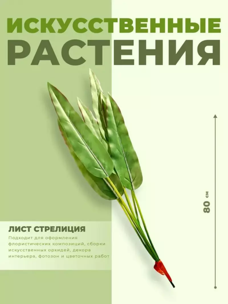 ИСК Лист стрелиция 80см