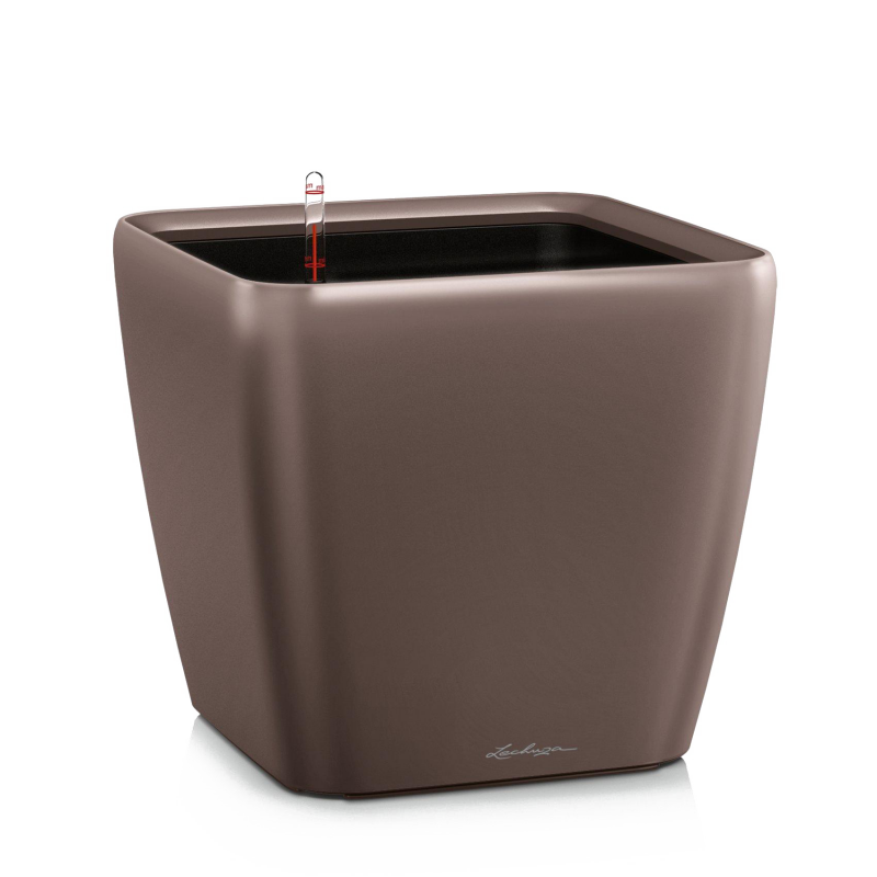 Quadro Premium 35 Кофе