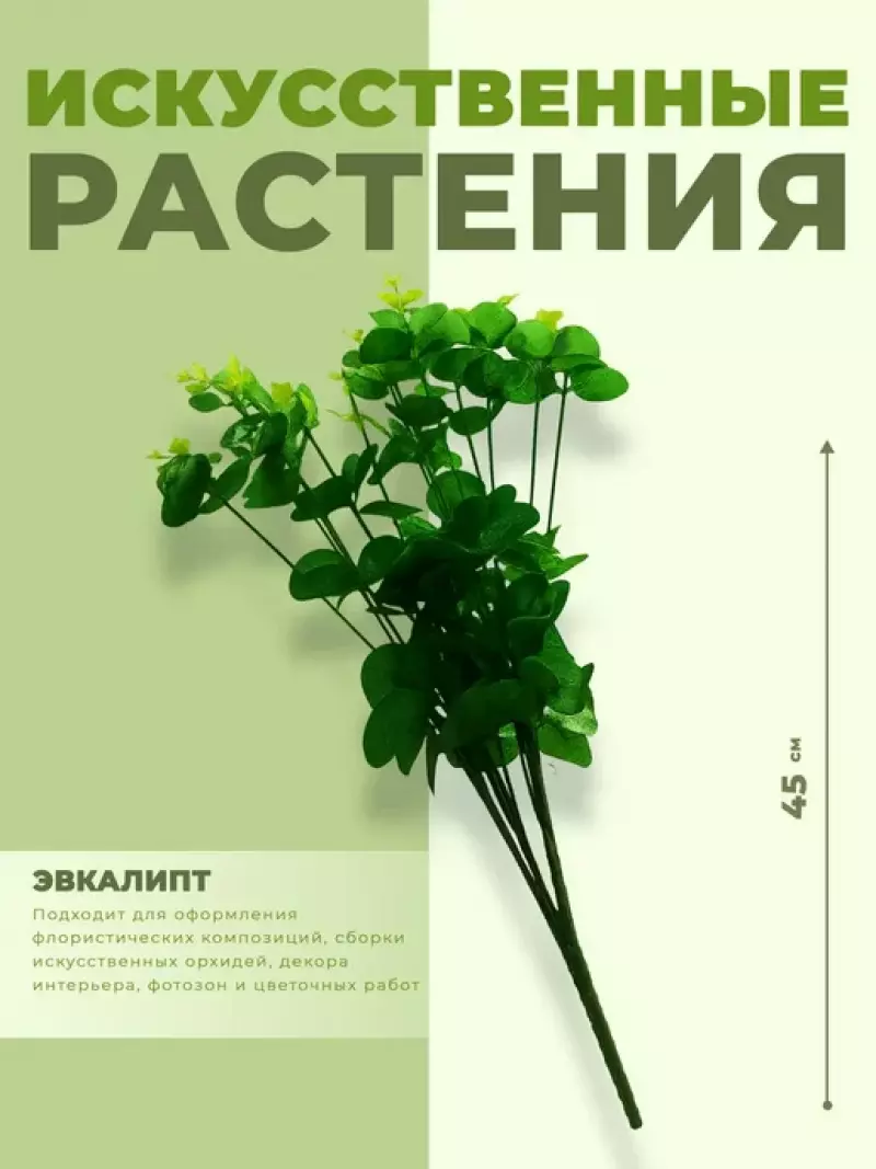 ИСК Эвкалипт 45см