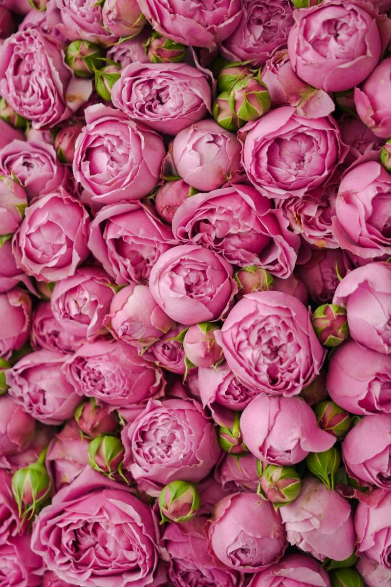 💎NOUR — tabiiy go‘zallik va sokinlik timsoli 💜