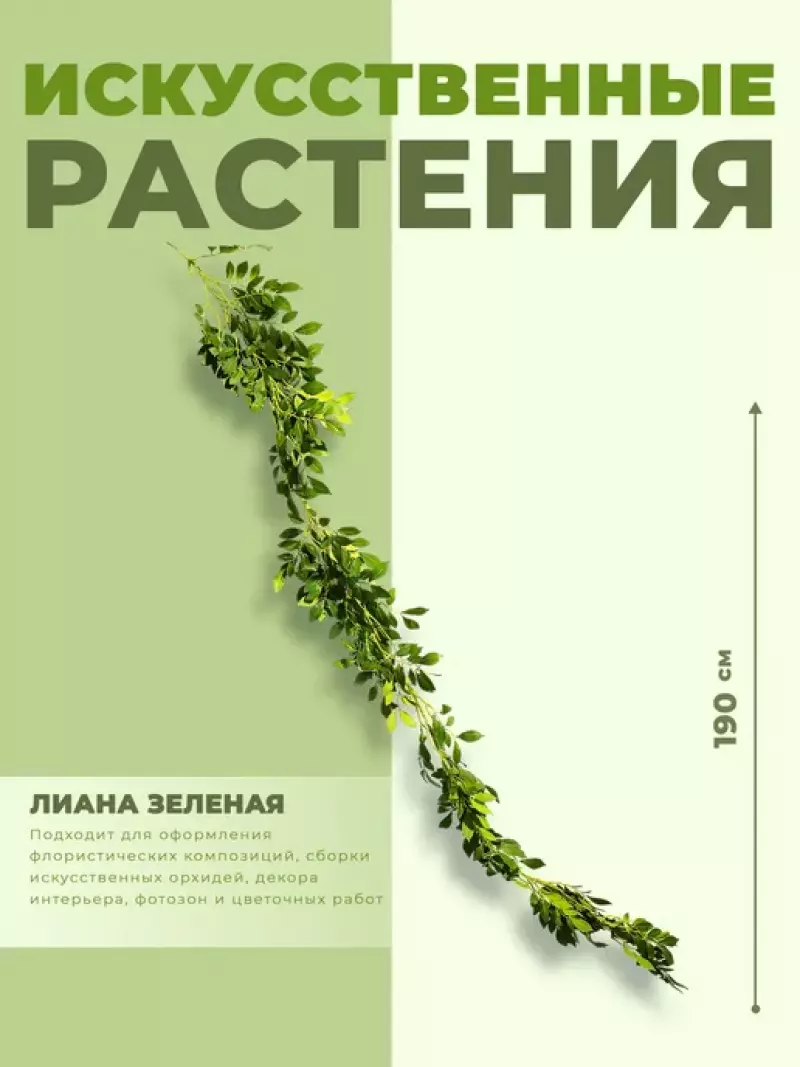 ИСК Эвкалипт николи 190см