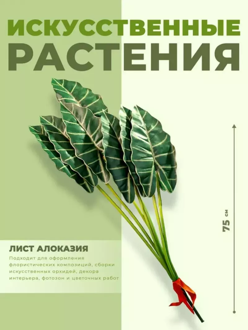 ИСК Лист алоказия 75см