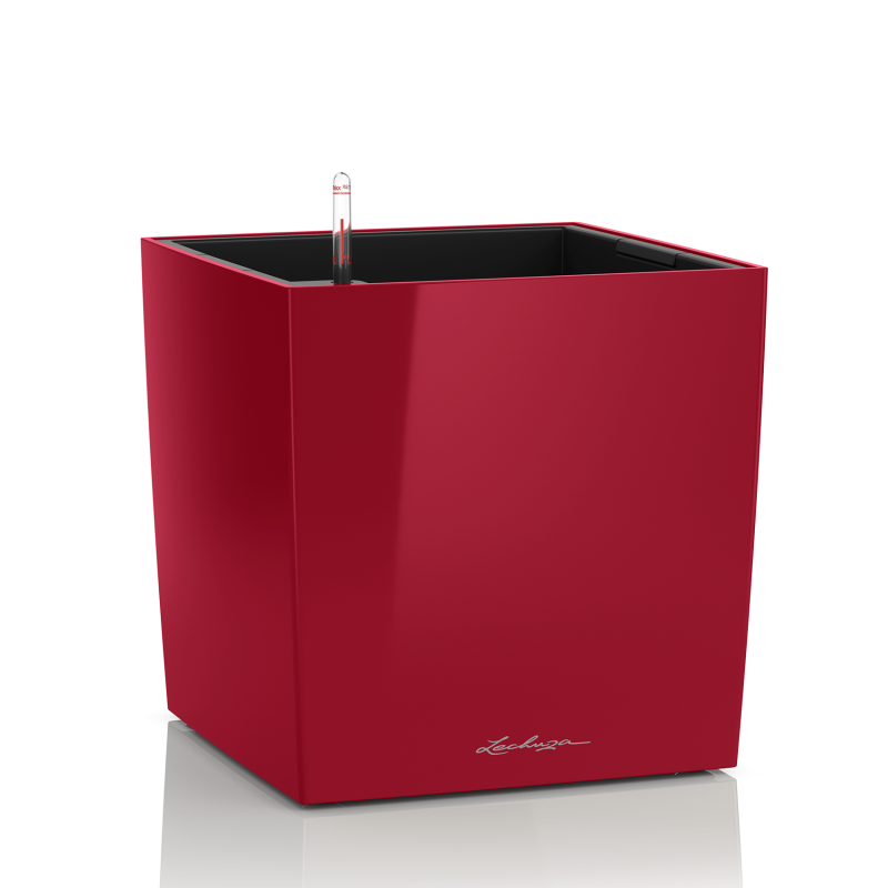 Cube Premium 30 Красный