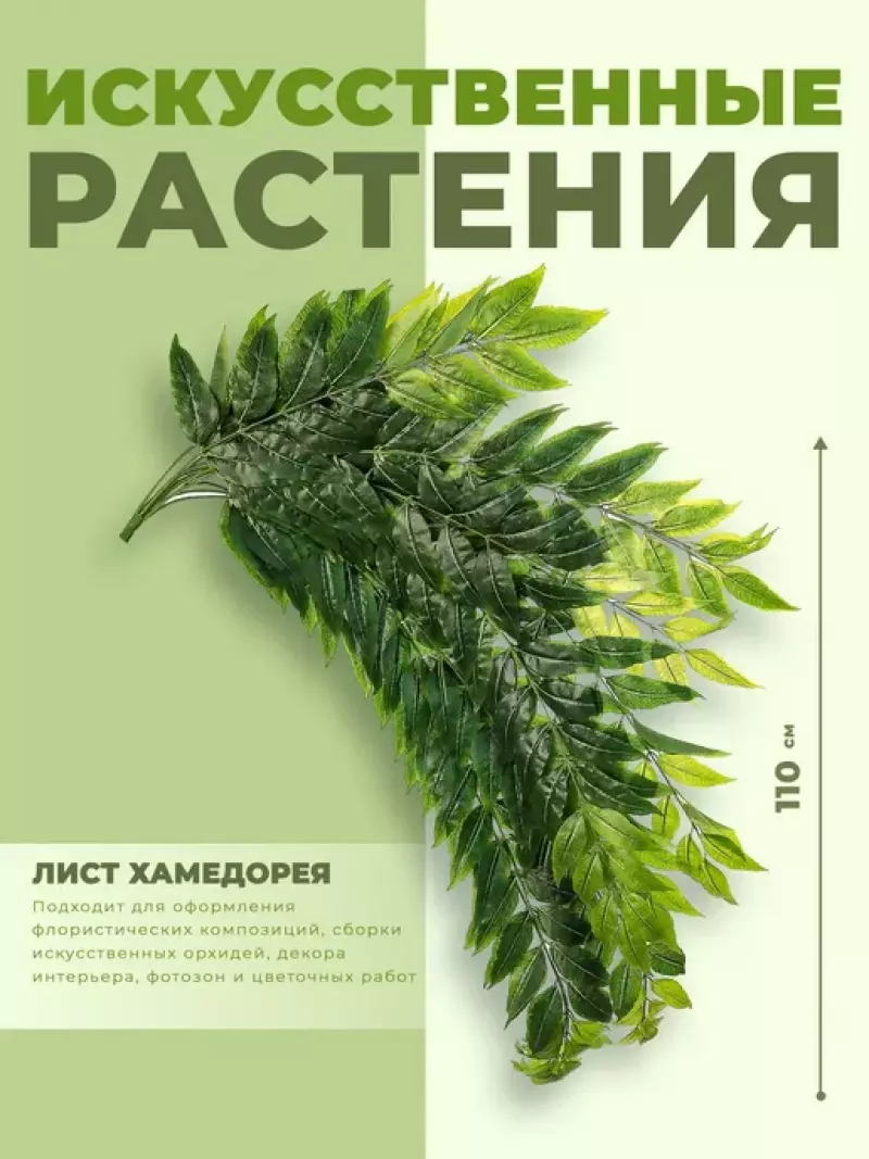 ИСК Лист хамедорея 110см