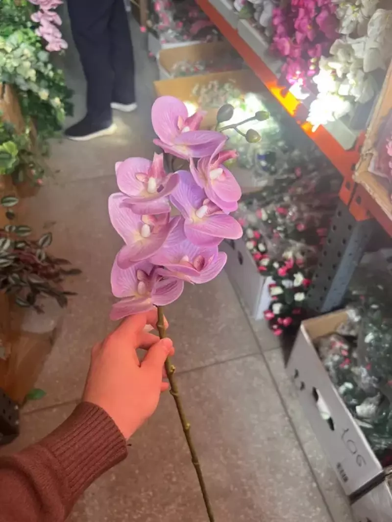 Иск Фаленопсис Цв 65см 2-6