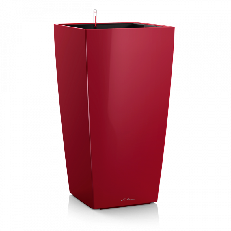 Cubico Premium 50 Красный